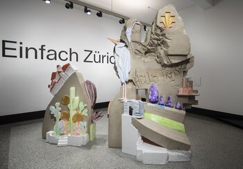 Vista della mostra "Semplicemente Zurigo