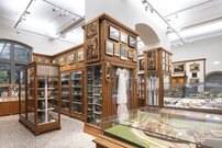 Foto der Sammlung Hallwil im Landesmuseum Zürich