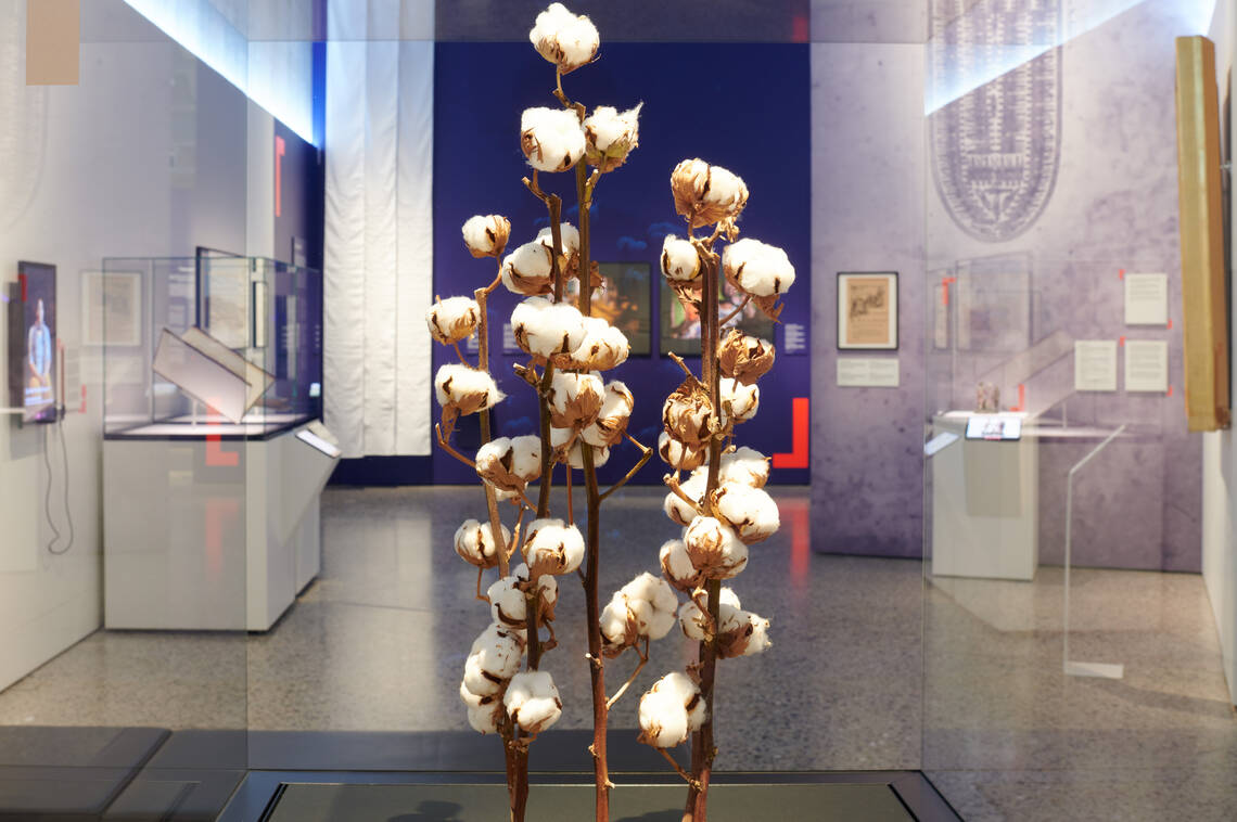 © Musée national suisse