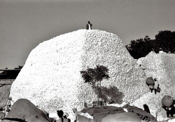 Mountain of cotton in Khamgaon, Central India, approx. 1948 | © Ernst Würgler, former operations engineer at Volkart. Provided by Madeleine Gerber-Würgler, Winterthur