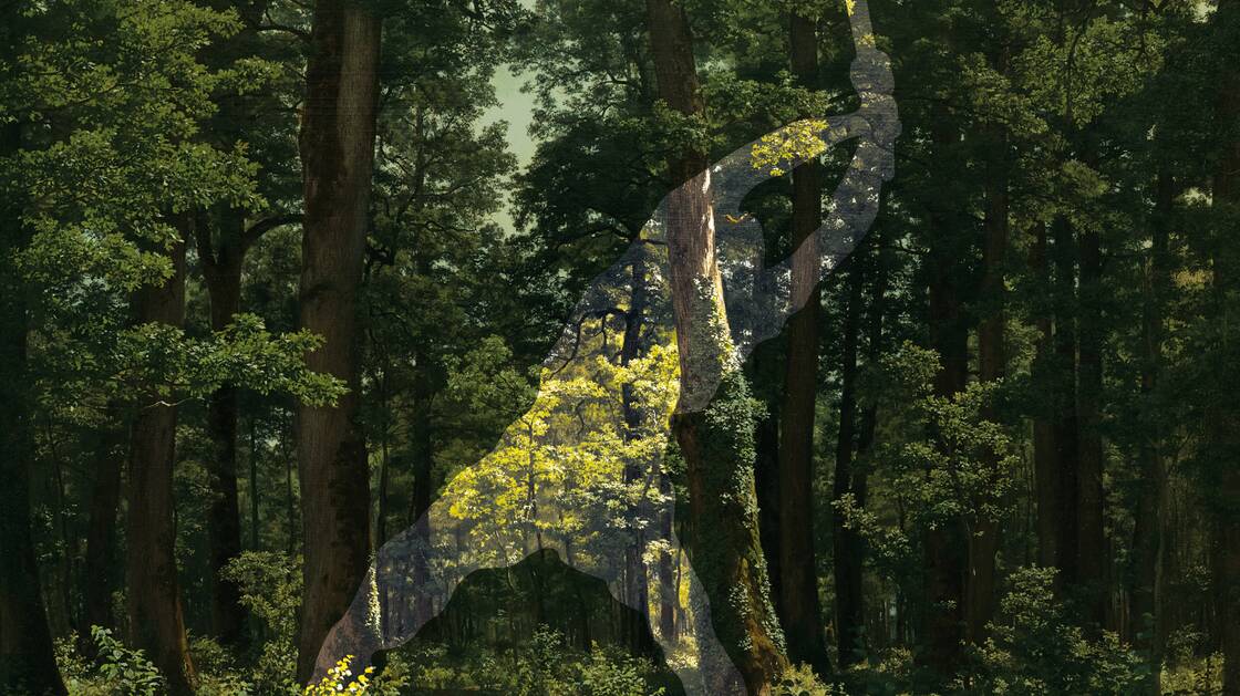 Key visual of the exhibition "In the forest