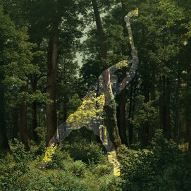 Key visual of the exhibition "In the forest