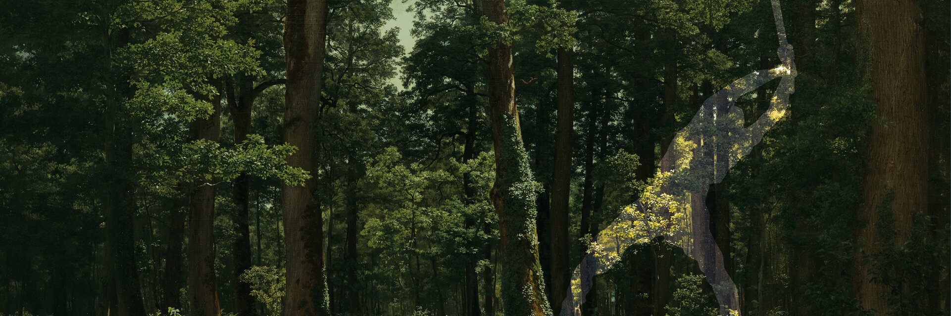 Key visual of the exhibition "In the forest