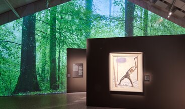 © © Schweizerisches Nationalmuseum