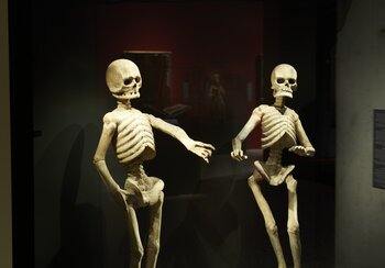 coveted. cared for. martyred. Bodies in the Middle Ages | © © Swiss National Museum