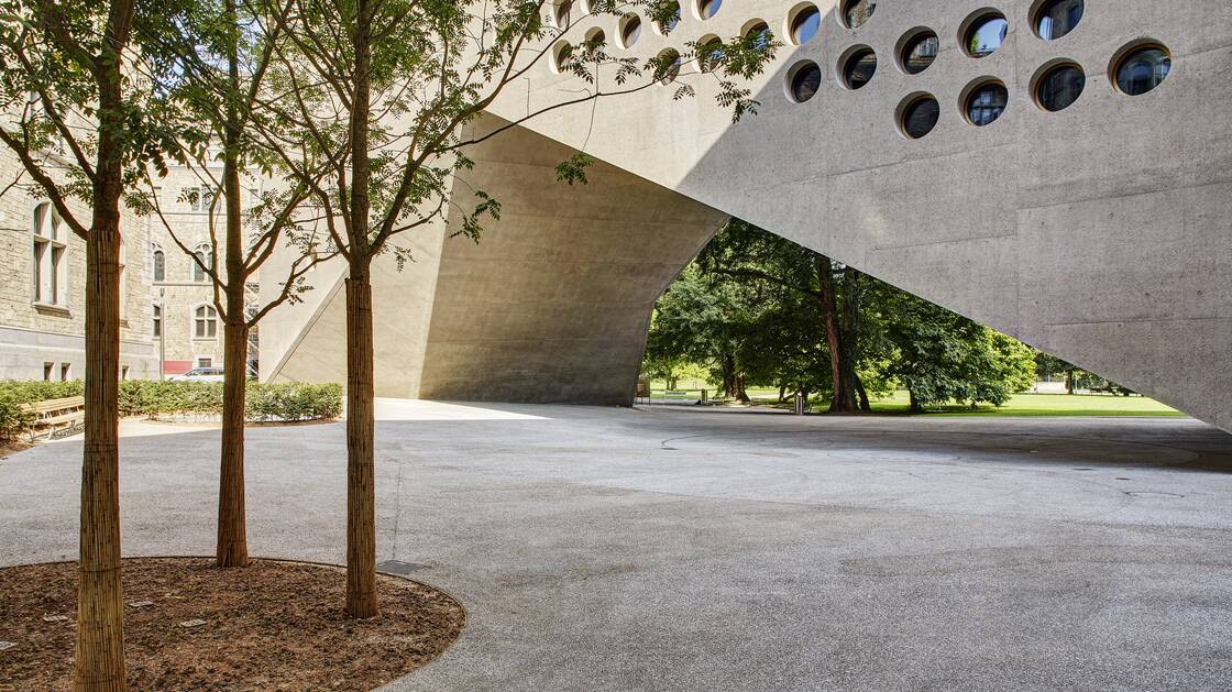 Image Cour de jardin avec vue sur le nouveau bâtiment