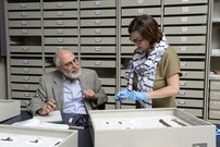 Studienzimmer Archäologie | © Schweizerisches Nationalmuseum