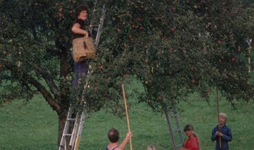 © ETH-Bibliothek Zürich, Bildarchiv