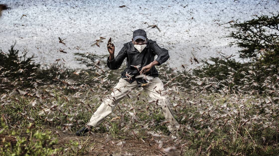 «Fighting Locust Invasion in East Africa», Luis Tato für «The Washington Post» , nominiert für das World Press Foto des Jahres | © World Press Photo