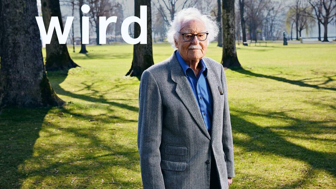 Buch Bevor Erinnerung Geschichte wird